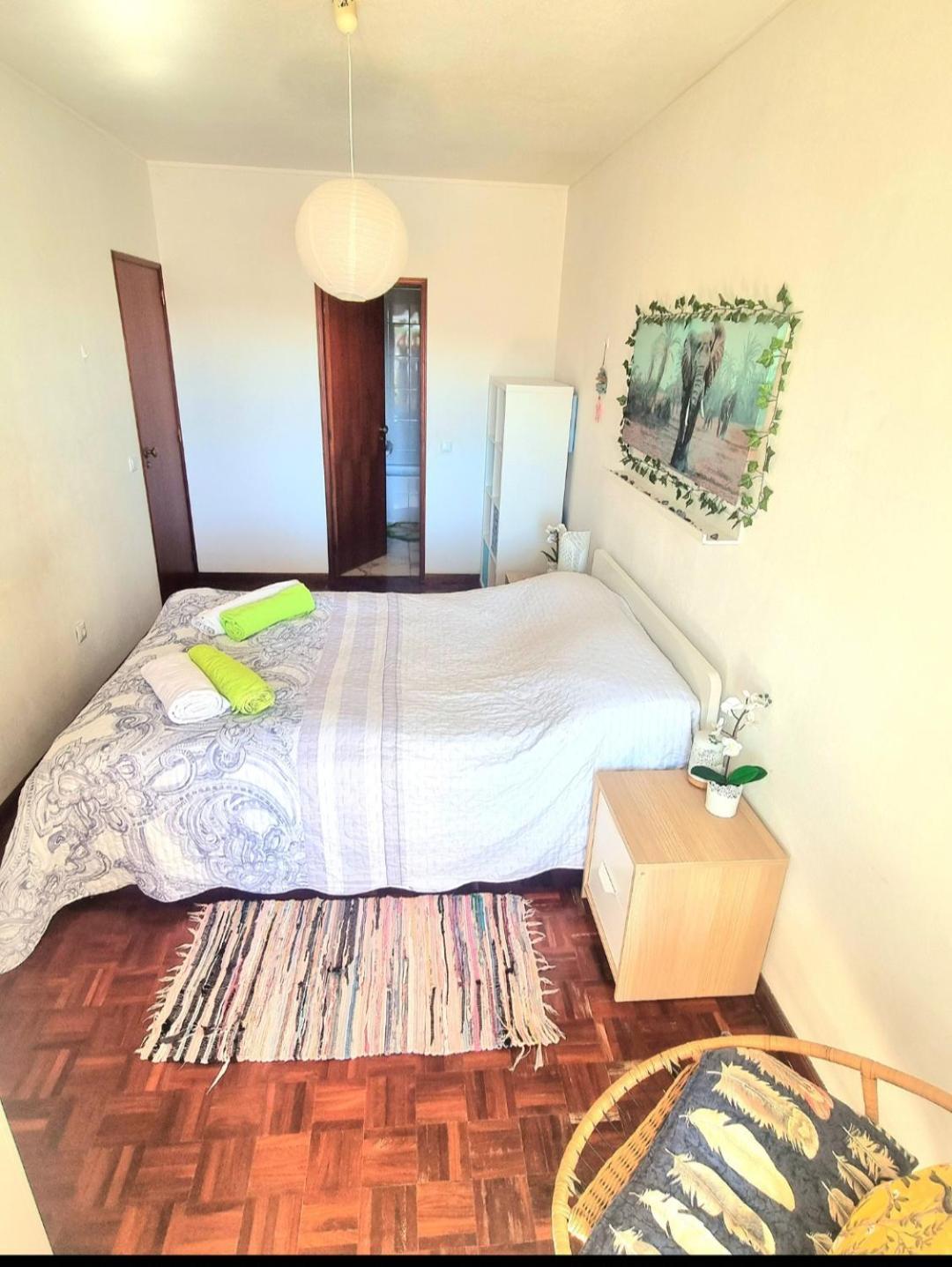 Stunning With Private Bathroom And Shared Balcony, Mainly With 3 Adorable Cats! Séjour chez l'habitant *