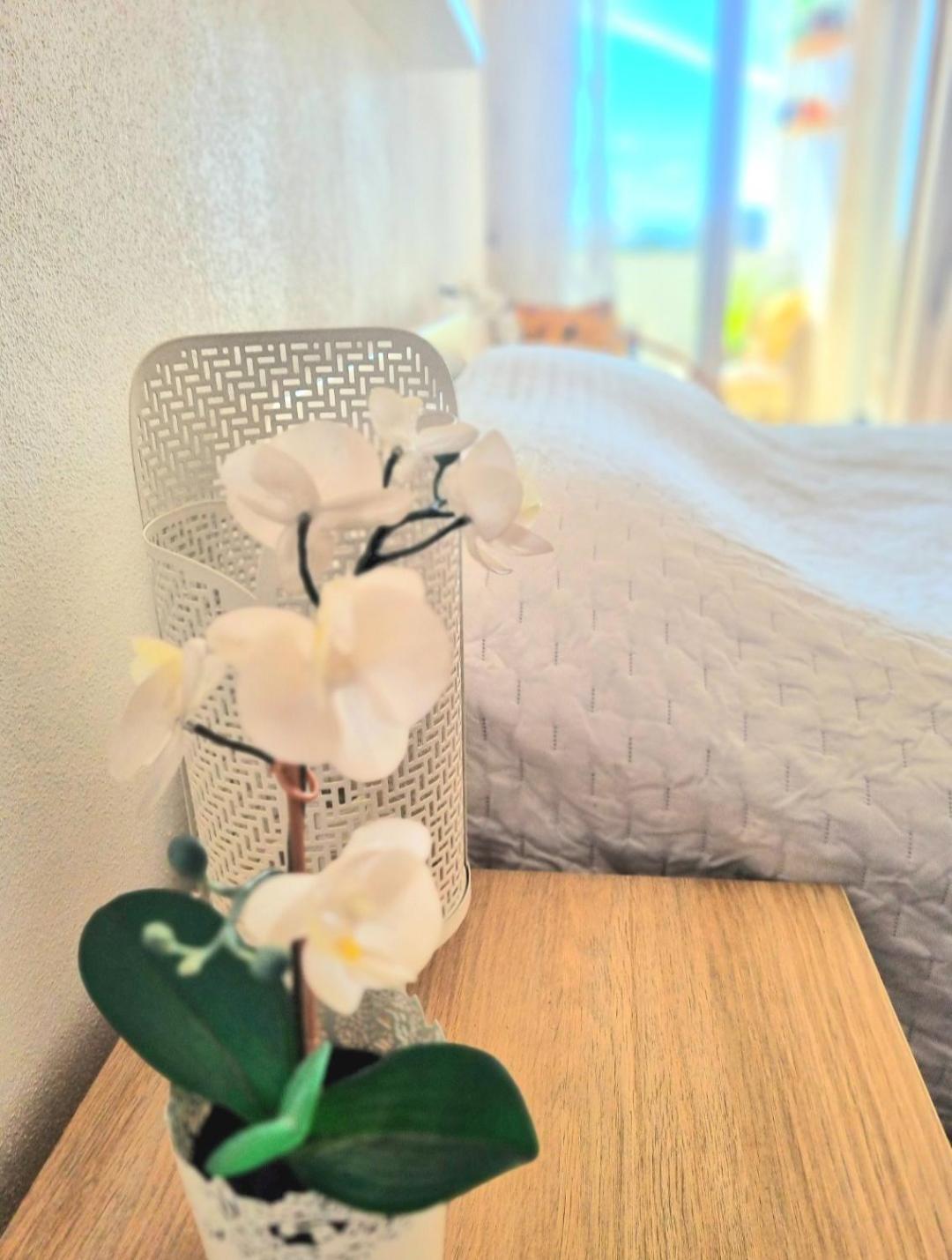 Stunning With Private Bathroom And Shared Balcony, Mainly With 3 Adorable Cats! Habitación en casa particular *